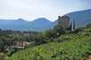 6. Rieslingtage Naturns