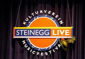 Steinegg Live Festival 2010