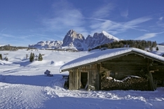 Zum Telemark Ski Opening nach Schnals zu fahren lohnt im November 2010. Einmal das ganz andere Fahrgefühl der Telemark Ski beim Opening 2010 in Schnals auszuprobieren ist eine interessante Erfahrung.