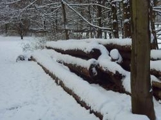 Schneeskulpturenfest Innichen