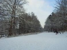 Skigebiet Reinswald in Südtirol