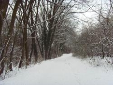 Winterwandern in Südtirol