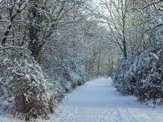 Skifahren Südtirol