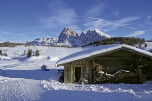 Zum Telemark Ski Opening nach Schnals zu fahren lohnt im November 2010. Einmal das ganz andere Fahrgefühl der Telemark Ski beim Opening 2010 in Schnals auszuprobieren ist eine interessante Erfahrung.