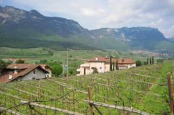 Kaltern an der Weinstraße Südtirol