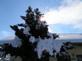 Skigebiete  Südtirol bieten Pisten und eine tolle Winterlandschaft